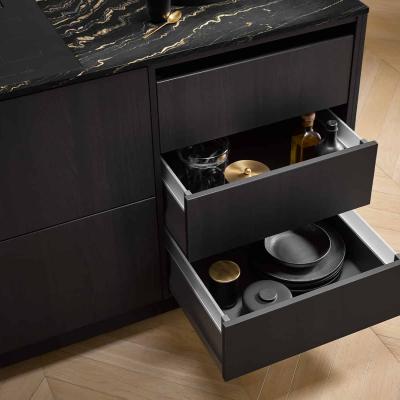 Av 2040 Feineiche Schwarz Auszugsregal Metro Glasav 2040 Feineiche Schwarz Auszugsregal Metro Glas Querformat 1700x1200